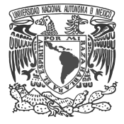 logo-universidad-UNAM
